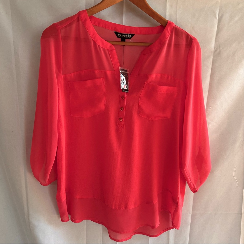 Express Women's Pink Sheer Blouse